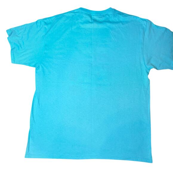 Disney Parks Frozen Themed Anna "profile pic vs tagged pic" plus size T-shirt XL - Picture 2 of 4